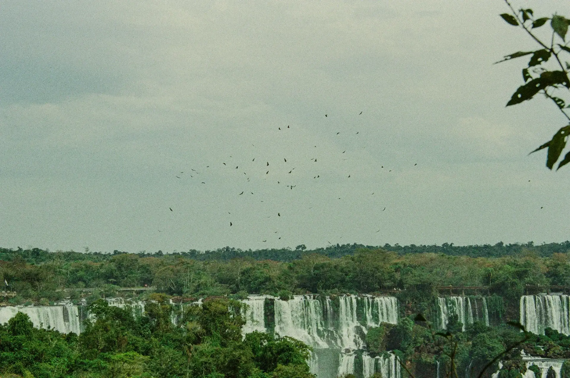 Argentina: Cataratas del Iguazú